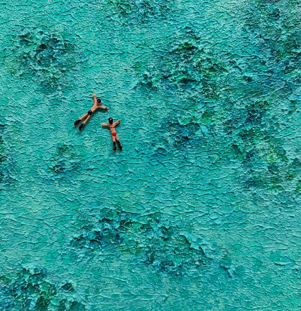 Paradise Found XI